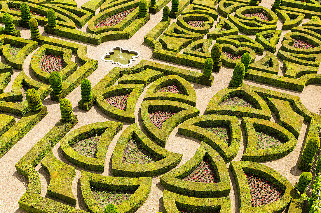 Formal gardens, Chateau of Villandry, Indre et Loire, Loire Valley, France