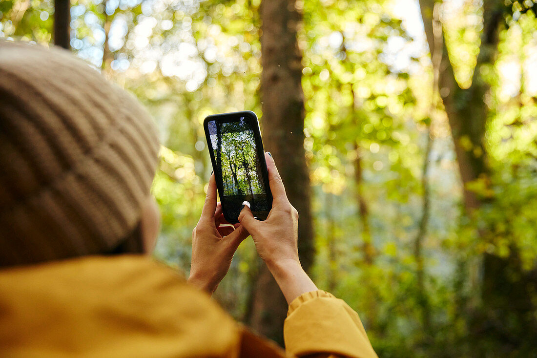 Woman holding up smart phone to take photograph of trees in woodland