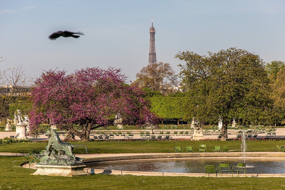 Tuileries Gardens, 1. Arrondissement, Paris, Frankreich