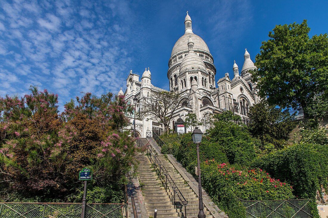 SACRE COEUR BASILICA, BUTTE MONTMARTRE, 18TH ARRONDISSEMENT, PARIS, ILE DE FRANCE, FRANCE, EUROPE