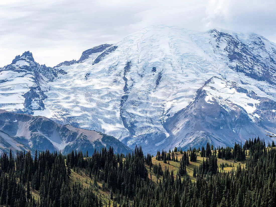 Early light on Mount Rainier from the Burroughs Mountain Trail, Mount Rainier National Park, Washington State, United States of America, North America