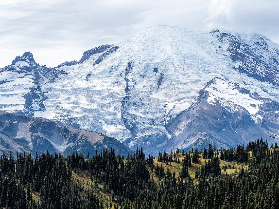 Frühes Licht auf Mount Rainier vom Burroughs Mountain Trail, Mount Rainier Nationalpark, Bundesstaat Washington, Vereinigte Staaten von Amerika, Nordamerika