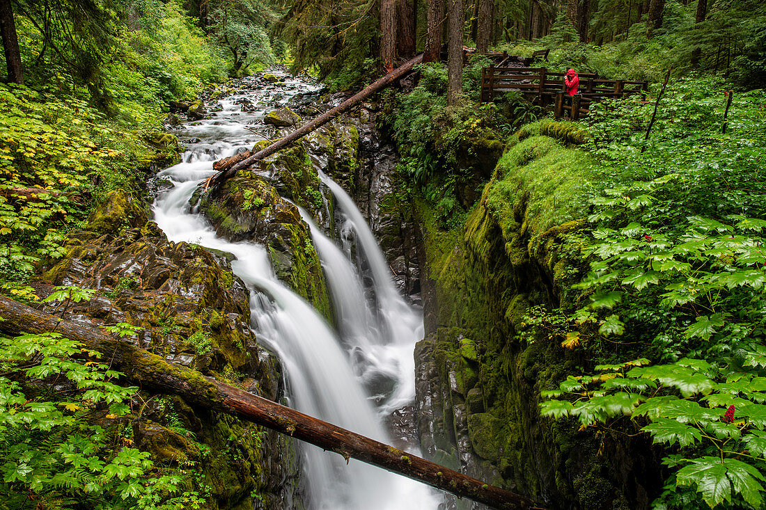 Fotograf auf dem Sol Duc Falls Trail, Sol Duc Valley, Olympischer Nationalpark, UNESCO-Weltkulturerbe, Bundesstaat Washington, Vereinigte Staaten von Amerika, Nordamerika