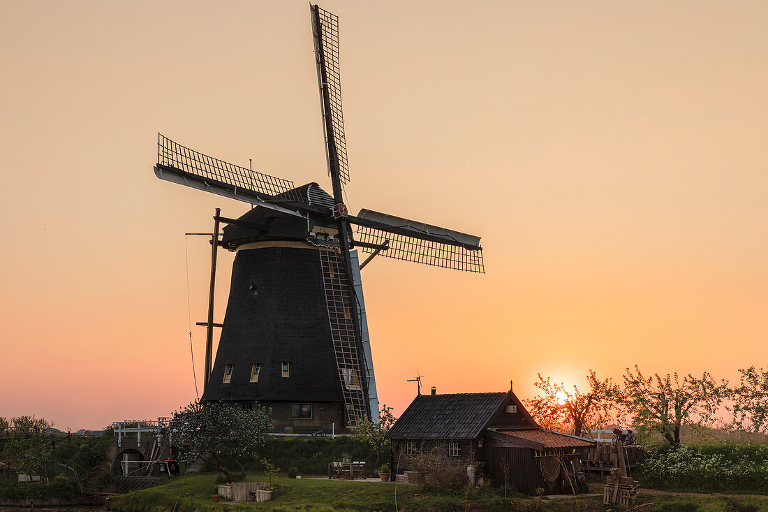 Windmill at sunset, Kinderdijk, UNESCO World Heritage Site, South Holland, Netherlands, Europe