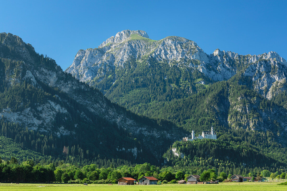 Neuschwanstein Castle and Lechtaler Alps, Schwangau, Allgau, Schwaben, Bavaria, Germany, Europe