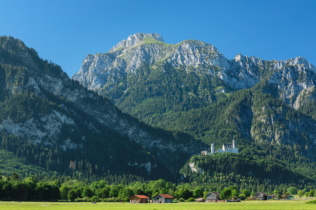 Schloss Neuschwanstein und Lechtaler Alpen, Schwangau, Allgau, Schwaben, Bayern, Deutschland, Europa