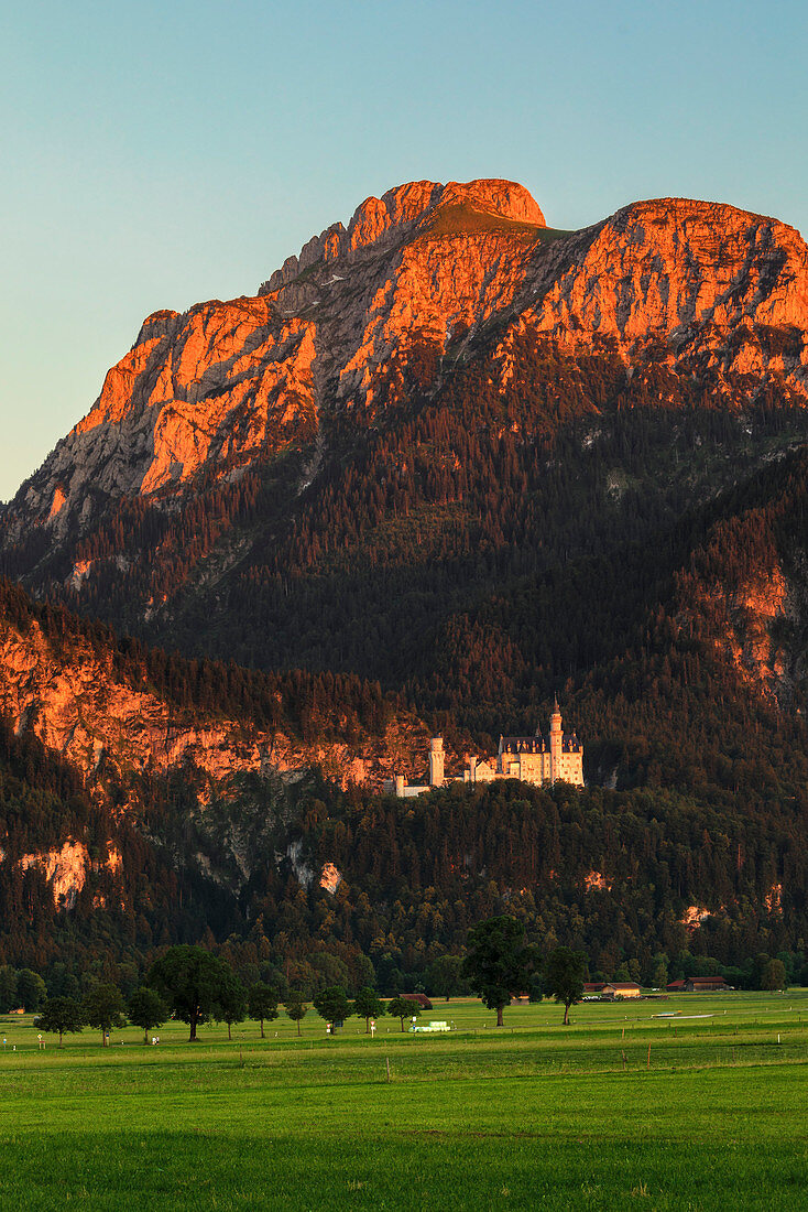 Schloss Neuschwanstein bei Sonnenuntergang, Schwangau, Allgau, Schwaben, Bayern, Deutschland, Europa