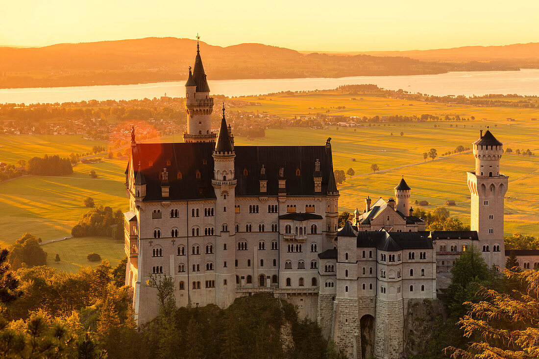 Neuschwanstein Castle at sunset, view to Forggensee Lake, Schwangau, Allgau, Schwaben, Bavaria, Germany, Europe