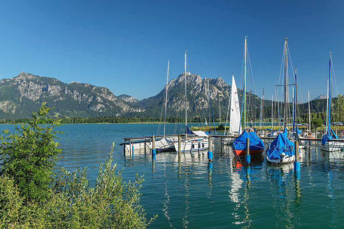 Forggensee Lake, Tannheimer Alps, Fussen, Allgau, Schwaben, Bavaria, Germany, Europe