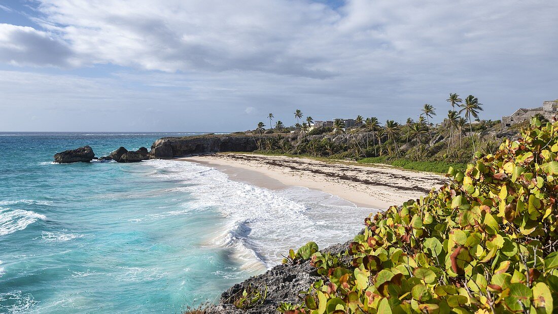 Der Harrismith Strand, Barbados Island, Kleine Antillen, Westindische Inseln, Karibikregion