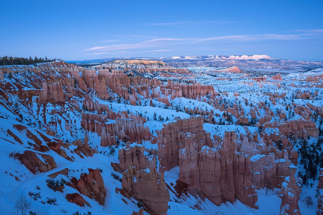 Blaue Stunde am Bryce Canyon in der Wintersaison, Tropic, Utah, USA