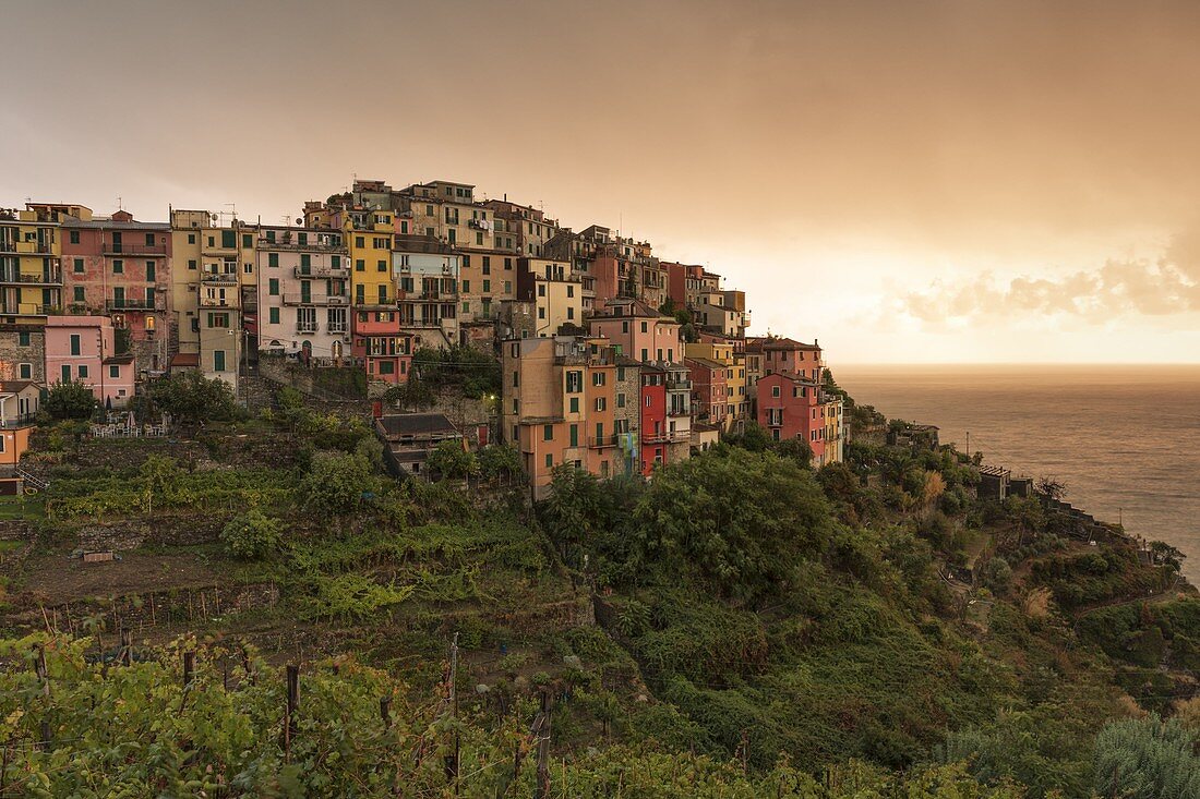 Das warme Licht eines Herbstsonnenuntergangs umhüllt das Dorf Corniglia, den Nationalpark Cinque Terre, das UNESCO-Weltkulturerbe, die Gemeinde Vernazza, Provinz La Spezia, Distrikt Ligurien, Italien, Europa