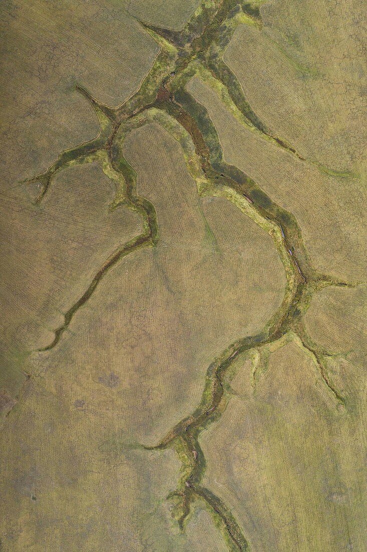 Vertikale Luftaufnahme des Fosso dei Mergani während eines Sommertages, Berg Sibillini, Castelluccio di Norcia, Gemeinde Norcia, Provinz Perugia, Bezirk Umbrien, Italien, Europa