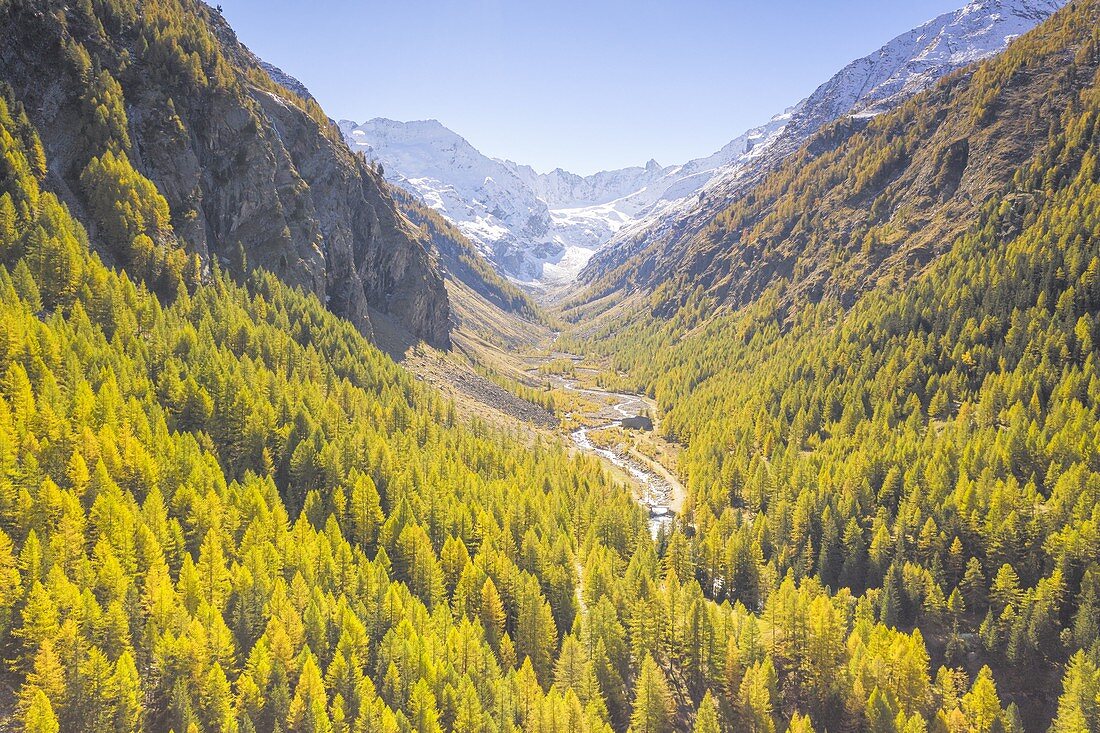 Panoramablick auf das Cogne-Tal am Herbsttag, Gemeinde Cogne, Provinz Aosta, Bezirk Valle d'Aosta, Italien, Europa