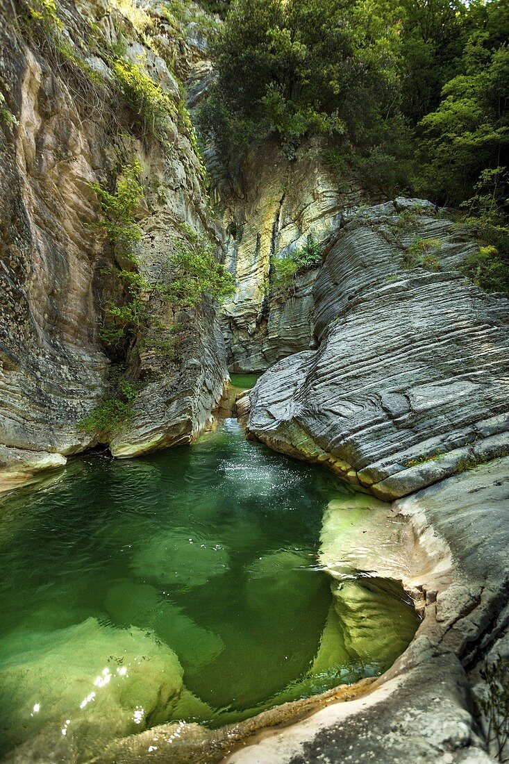 Italien, Abruzzen, Civitella del Tronto. Teich in der Gole del Salinello. Regionalreservat, Nationalpark Gran Sasso und Monti della Laga