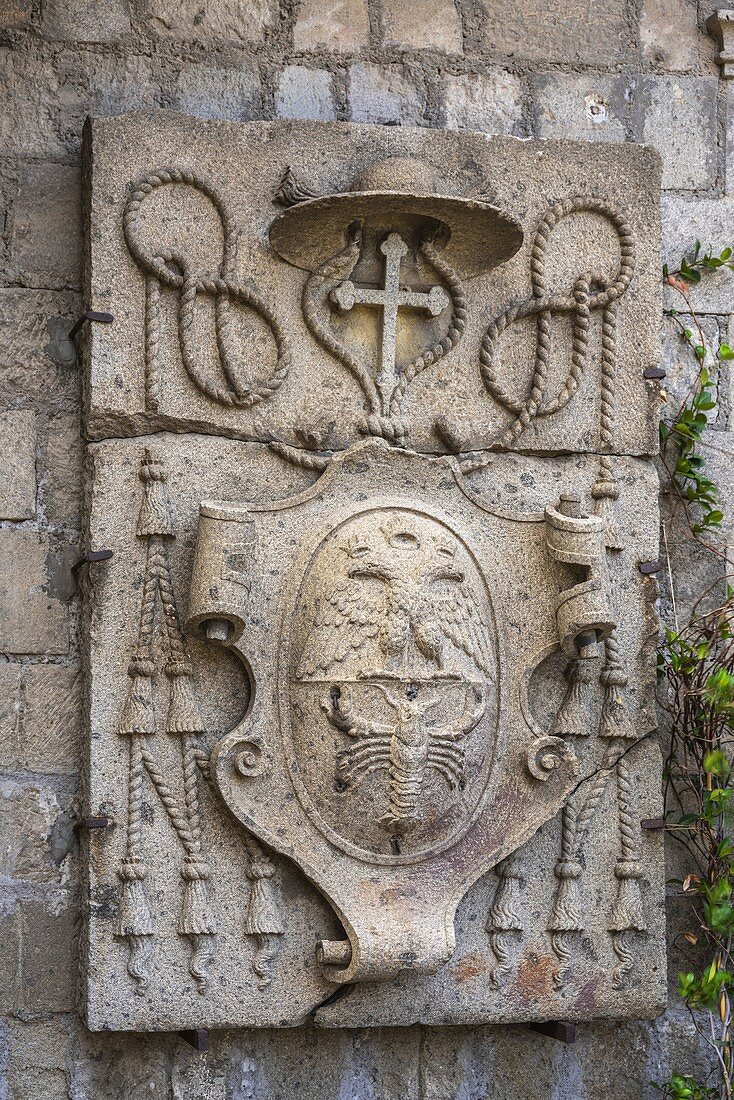 Heraldic coat of arms of Cardinal Gambara Giovanni Francesco, apostolic administrator of Tuscania and Viterbo. Viterbo, Lazio, Italy, Europe