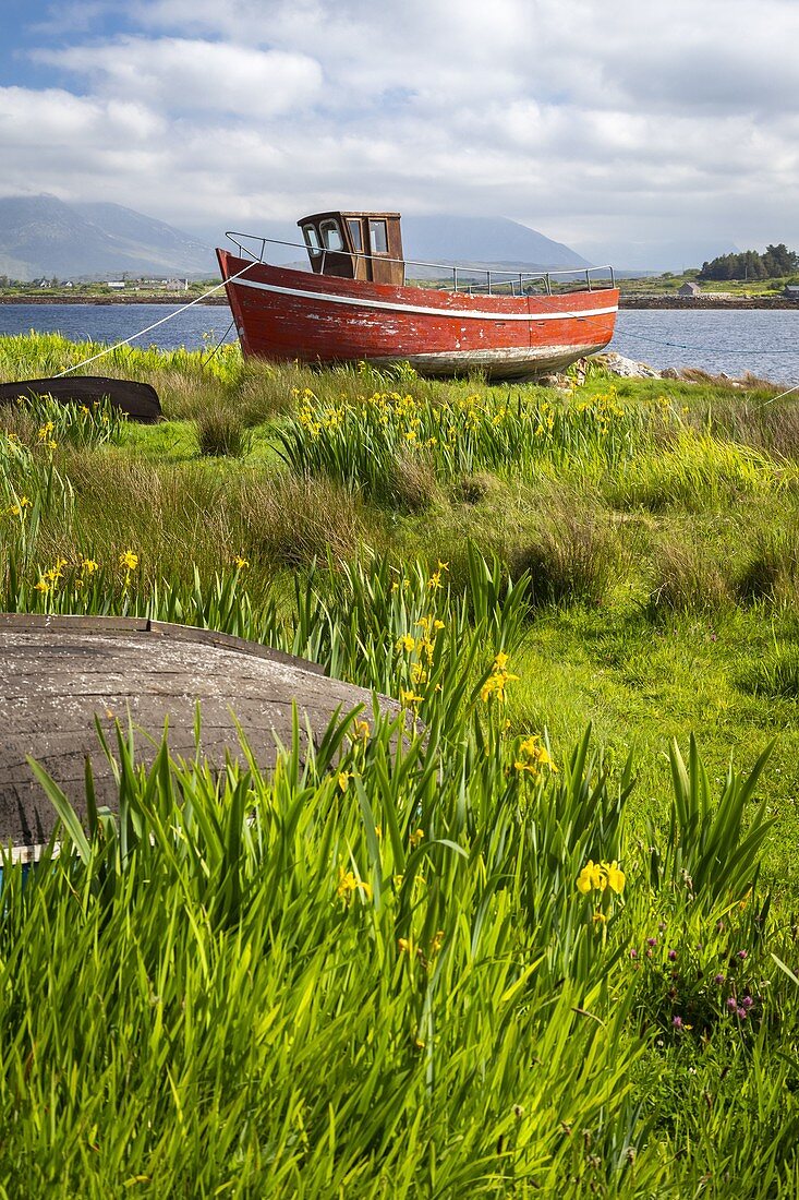 Wooden red fishing boat in Roundstone. County Galway, Connacht province, Ireland, Europe.