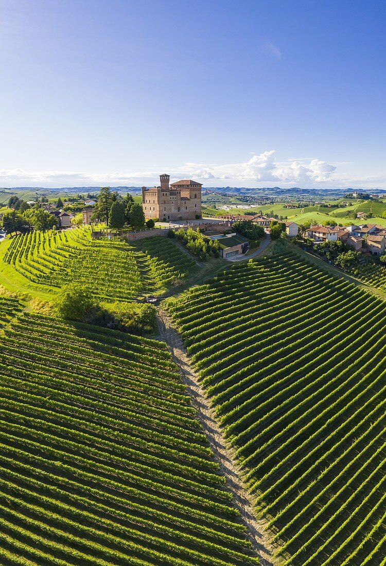 Luftaufnahme des mittelalterlichen Castello di Grinzane Cavour. Grinzane Cavour, Langhe, Piemont, Italien, Europa.