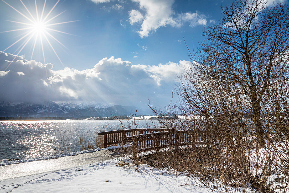 Hopfensee bei Hopfen am See, Allgäu, Bayern, Deutschland