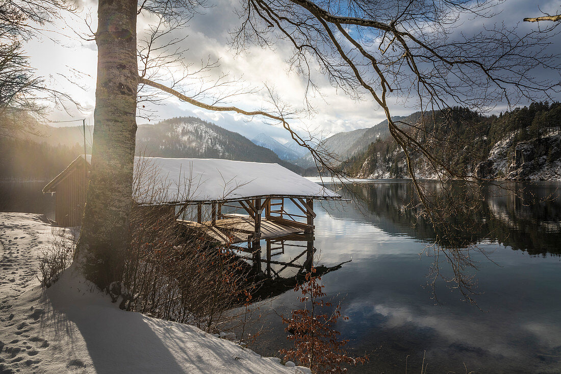 Bootssteg am Alpsee bei Hohenschwangau, Schwangau, Allgäu, Bayern, Deutschland