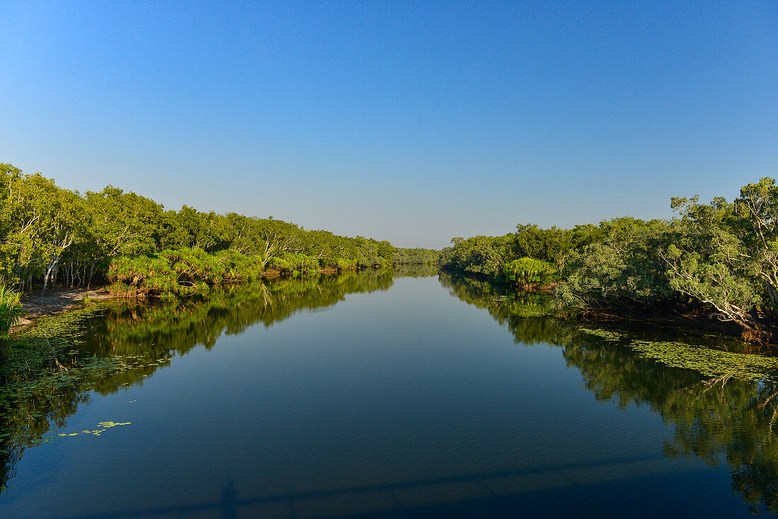 Calm river with lush vegetation, Kakadu National Park, Northern Territory, Australia
