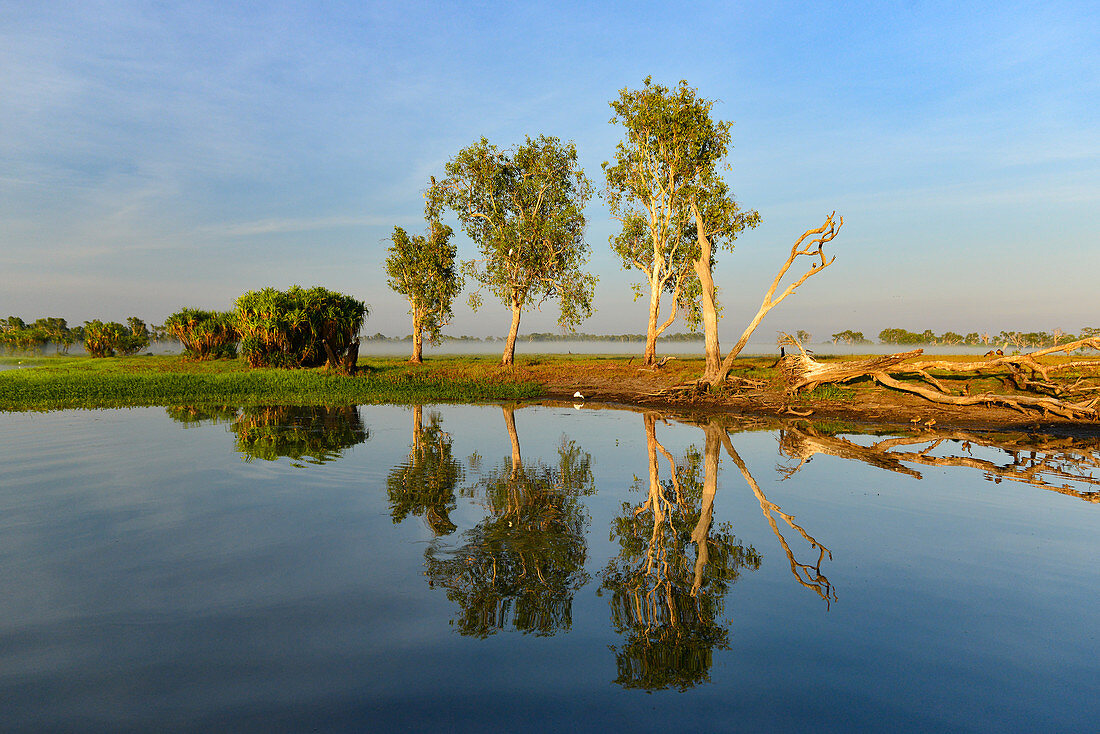 Bäume am Flussufer am frühen Morgen, Cooinda, Kakadu National Park, Northern Territory, Australien