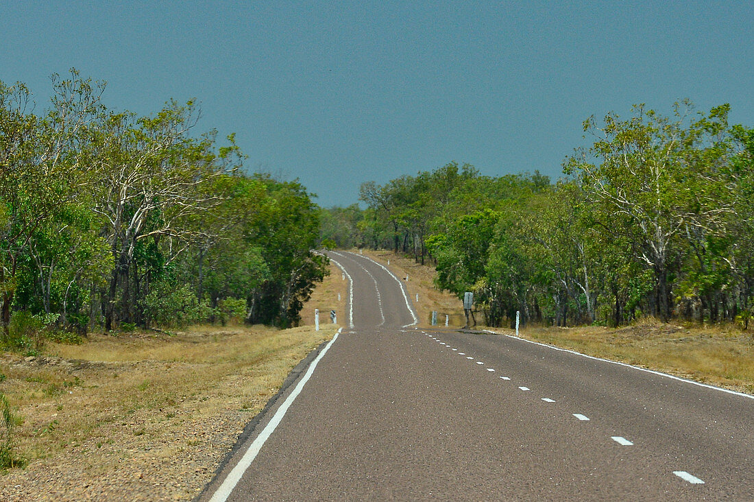 Road shimmering in the heat, Kakadu National Park, Jabiru, Northern Territory, Australia