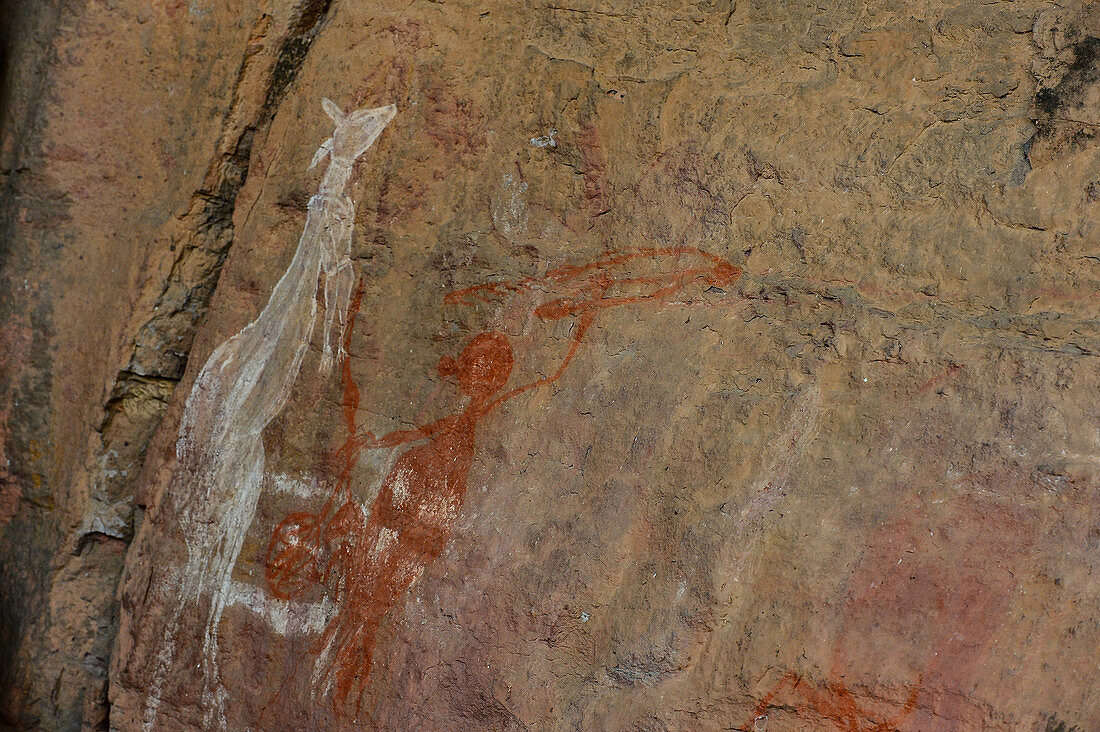 Ancient Aboriginal rock carving, Kakadu National Park, Jabiru, Northern Territory, Australia