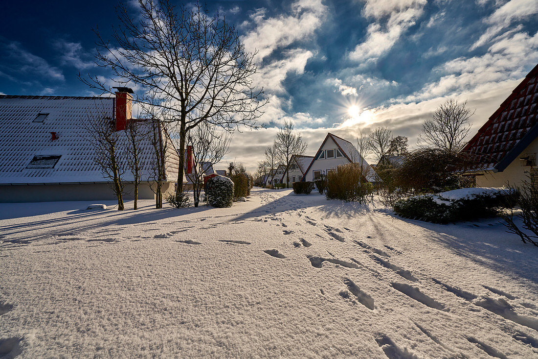 Verschneite Landhäuser, Dorum, Niedersachsen, Deutschland