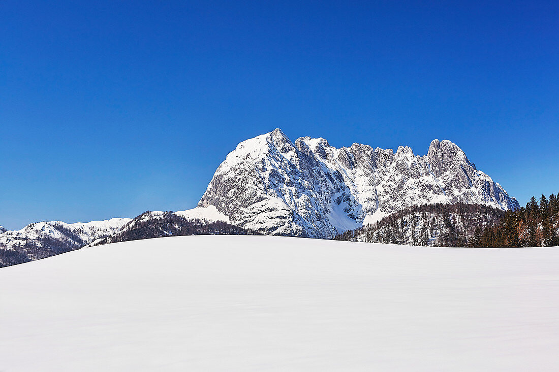 Wilder Kaiser mit schneebedeckter Wiese im Vordergrund, St. Johann in Tirol, Kitzbühler Alpen, Österreich