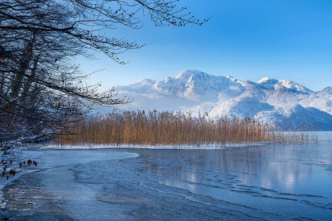 Winter morning at Kochelsee, Upper Bavaria, Bavaria, Germany, Europe