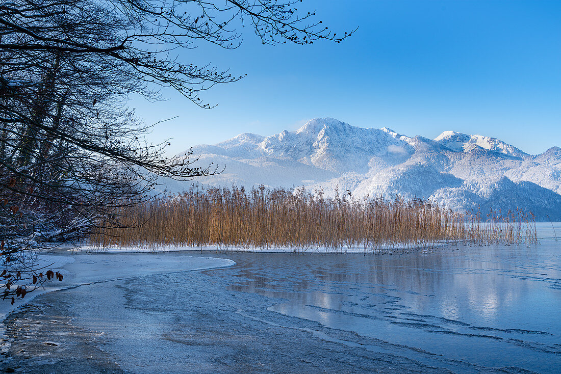 Wintermorgen am Kochelsee, Oberbayern, Bayern, Deutschland, Europa