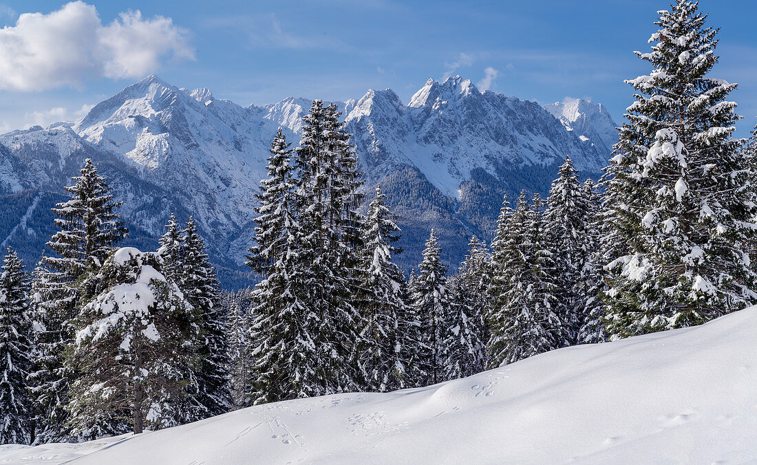 Morgendlicher Blick über den winterlichen Bergwald auf das Wettersteingebirge, Garmisch-Partenkirchen, Bayern, Deutschland, Europa