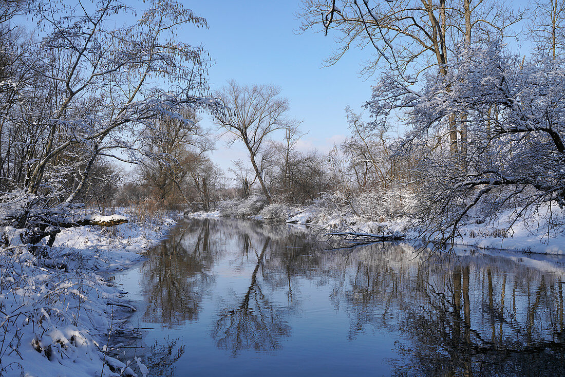 Winter morning at Ammer Altwasser, Upper Bavaria, Germany, Europe