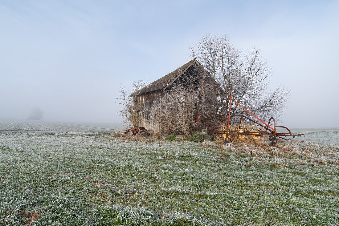 Old barn near Etting, Upper Bavaria, Bavaria, Germany