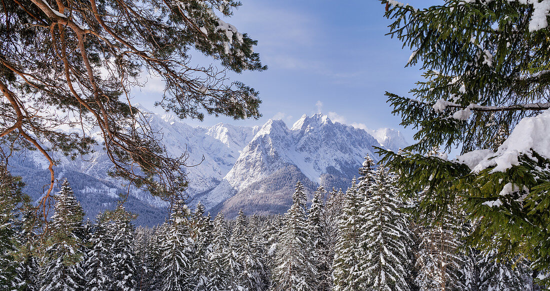 Blick über den winterlichen Bergwald auf das Wettersteingebirge, Garmisch-Partenkirchen, Bayern, Deutschland, Europa
