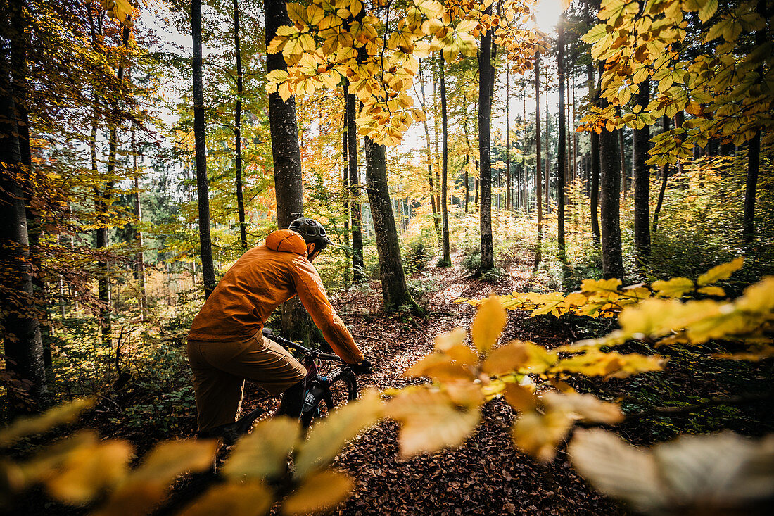 Mountainbiker fährt durch herbstlichen Wald