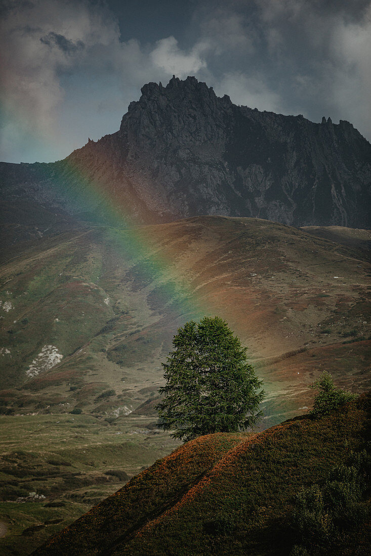 Regenbogen in den Schweizer Bergen