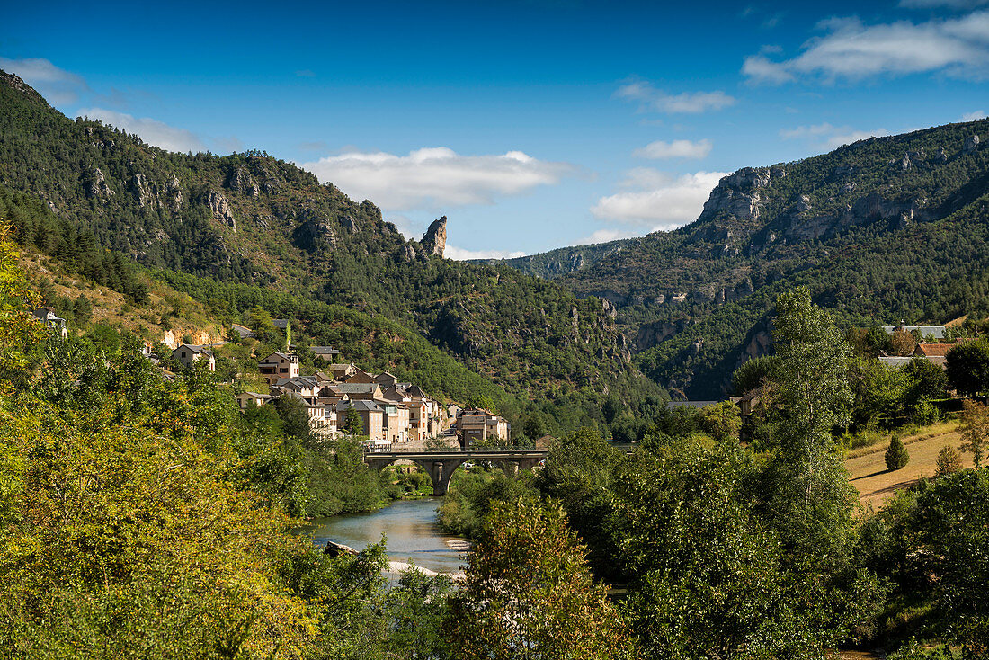 Tarn Gorge at Le Rozier, Gorges du Tarn, Parc National des Cevennes, Cevennes National Park, Lozère, Languedoc-Roussillon, Occitania, France