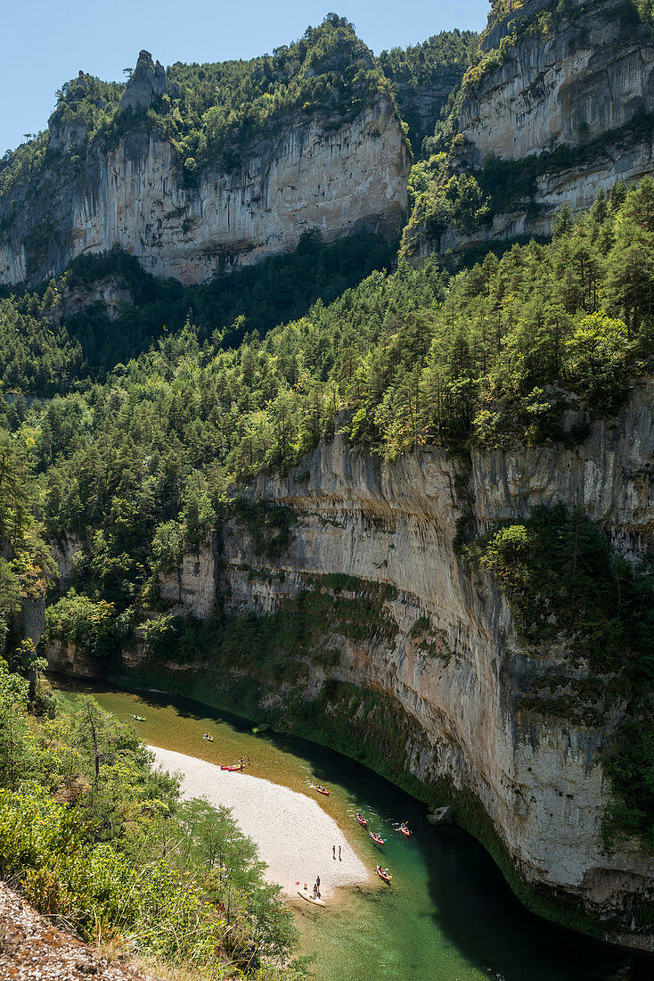 Tarn Gorge at Le Rozier, Gorges du Tarn, Parc National des Cevennes, Cevennes National Park, Lozère, Languedoc-Roussillon, Occitania, France