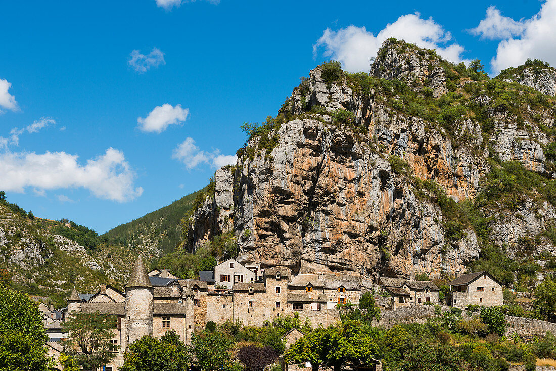 Tarn-Schlucht bei Le Rozier, Gorges du Tarn, Parc National des Cévennes, Nationalpark Cevennen, Lozère, Languedoc-Roussillon, Okzitanien, Frankreich