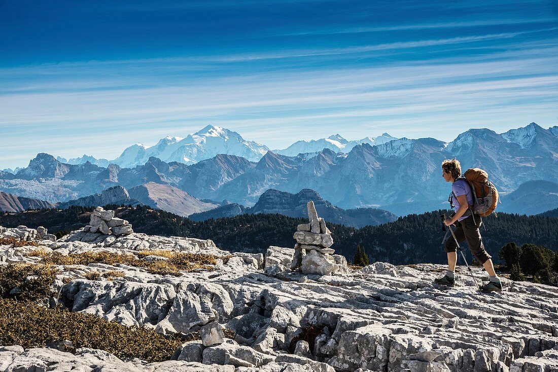 France, Haute Savoie, massif des Bornes, Glieres plateau, hiking in the mountain of Sous Dine, in the lapias of the summit seen towards the Mont Blanc