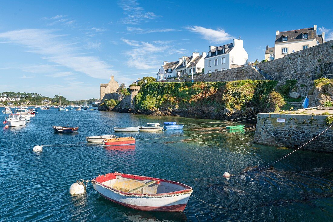 France, Finistere, le Conquet, the harbor at high tide