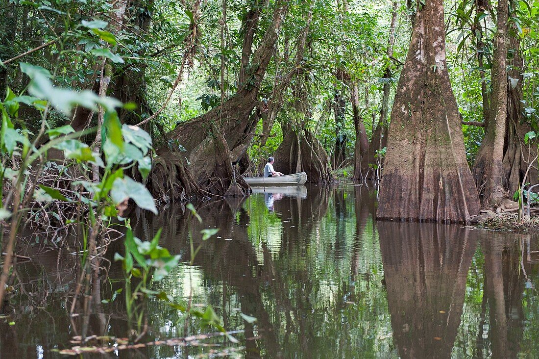 Frankreich, Französisch-Guayana, Cayenne, Naturschutzgebiet Kaw Marsh, Fluss Kaw