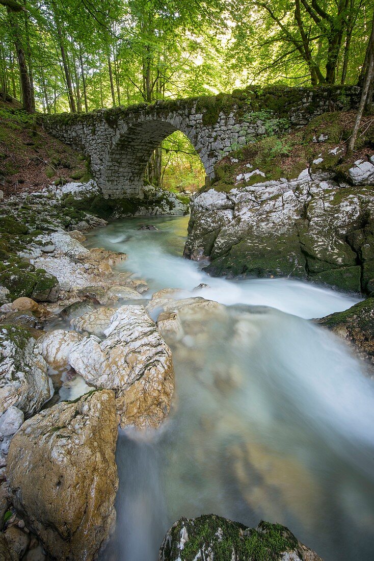 Frankreich, Ain, das Dorf Chezery Forens vor den Toren des Jura, die alte Straße und Steinbrücke am Strom von Valserine