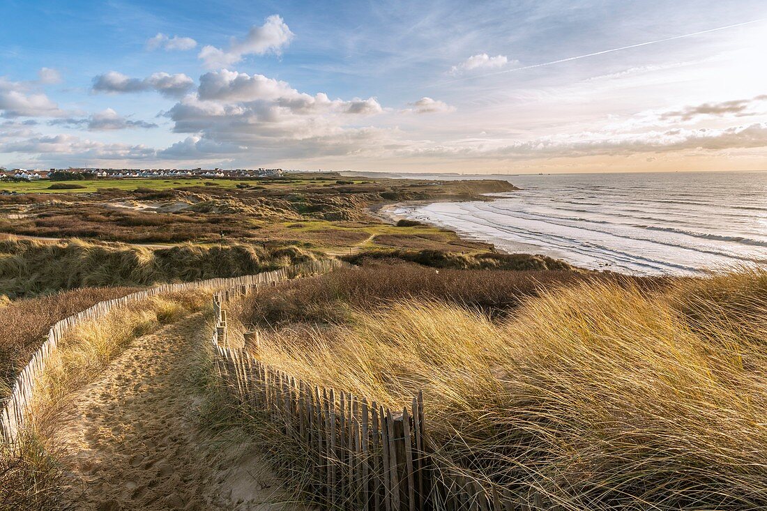 Frankreich, Pas de Calais, Opalküste, Wimereux, die lockeren Dünen bei Ambleteuse (Opalküste, große Stätte der beiden Kappen), Blick auf die Pointe aux Oies und das Dorf Wimereux