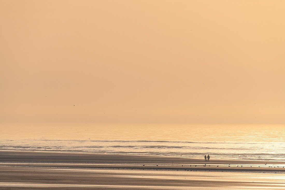 France, Somme, Bay of Somme, La Molliere d'Aval, Cayeux sur Mer, Walkers on the beach at sunset