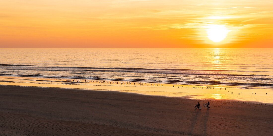 Frankreich, Somme, Bucht der Somme, Quend Plage, Der Strand in der Abenddämmerung, Anwesenheit von Fahrradwanderern