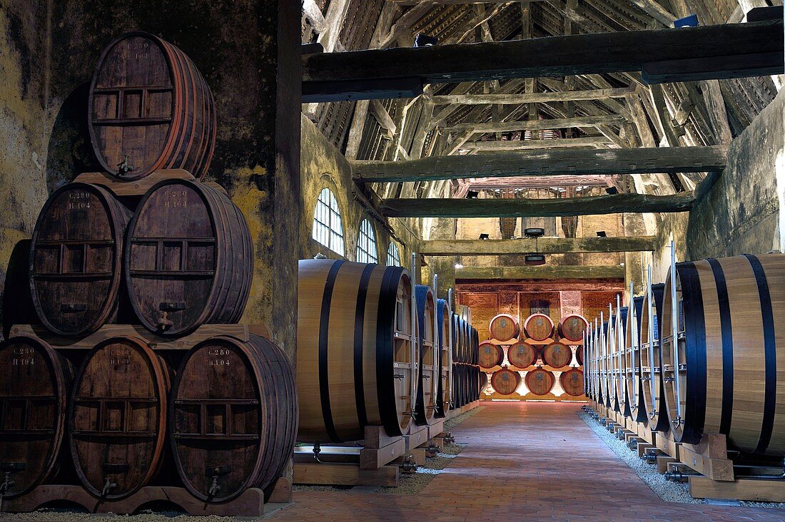 Frankreich, Calvados, Pays d'Auge, Le Breuil en Auge, Château du Breuil Produzent von Calvados AOC Pays d'Auge, Fässer in alternden Kellern