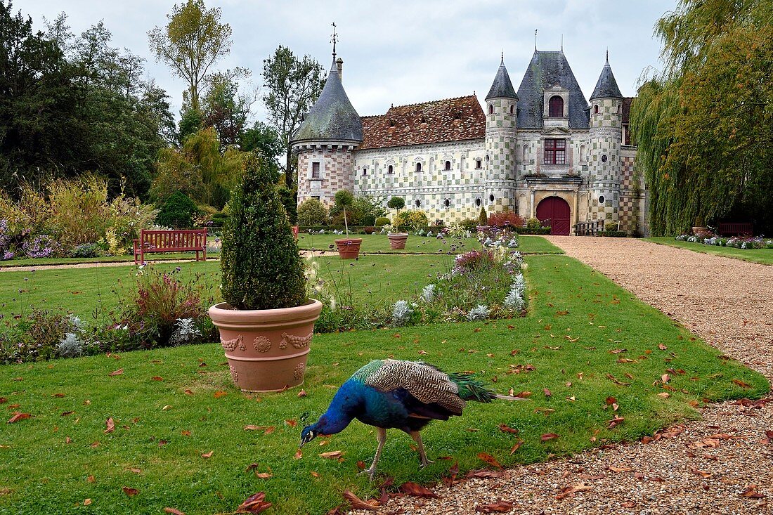 Frankreich, Calvados, Pays d'Auge, Schloss Saint Germain de Livet aus dem 15. und 16. Jahrhundert mit der Bezeichnung Museum of France
